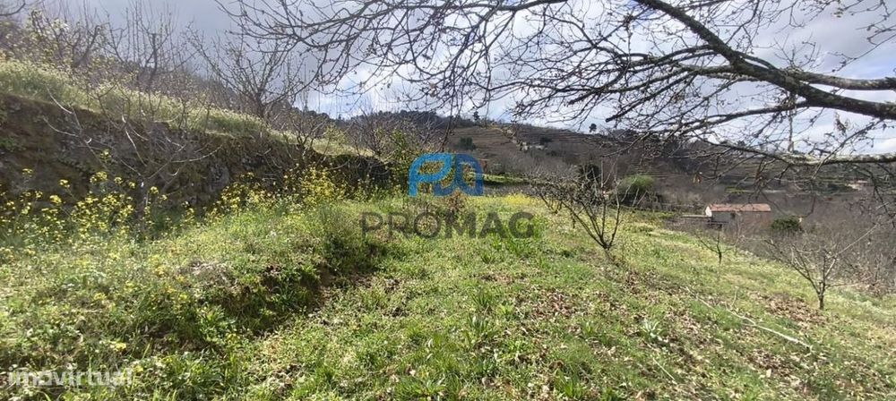 Terreno Urbanizável de 7959 m² com Armazém