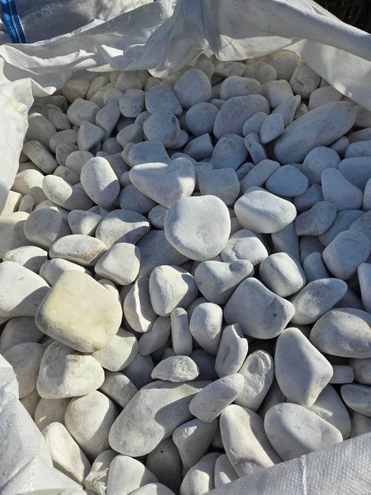 Otoczak White Angel, śnieżno-biały