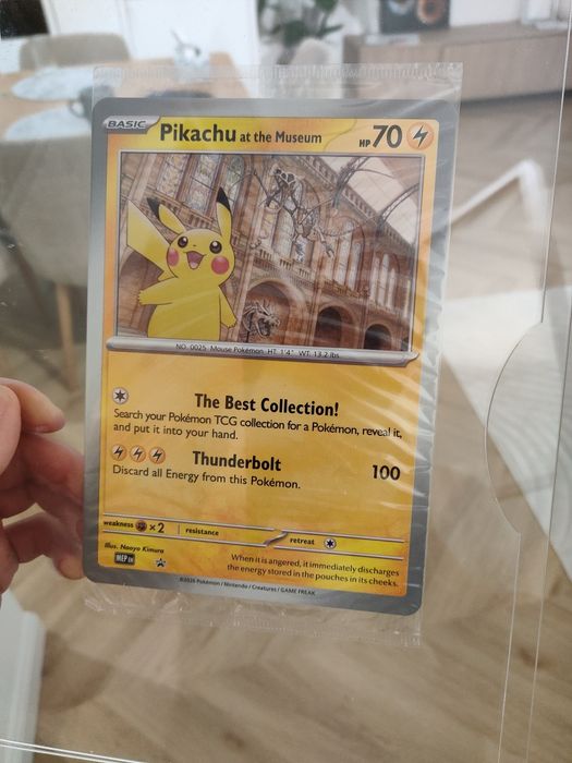 Pokemon - Pikachu at the museum