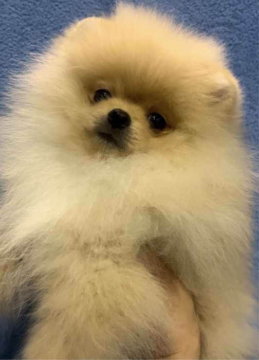 Малыш в Краматорске.