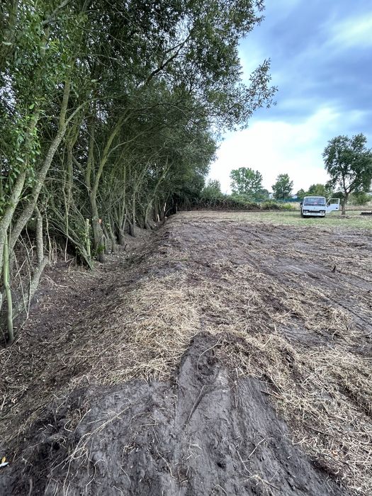 Limpeza de terrenos e serviços agrícolas e florestais .