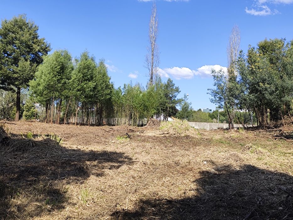 Limpezas de terrenos