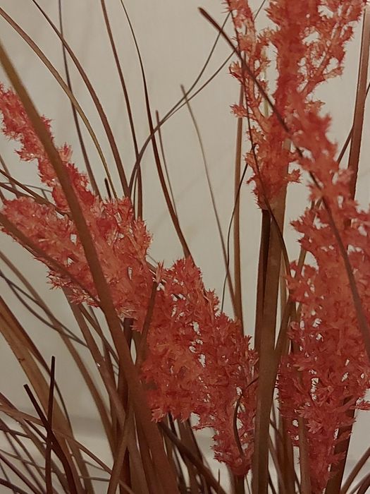 Рослина трава пампасна очерет штучна 90 см