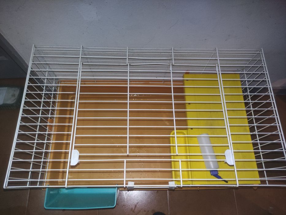 Gaiola de roedores