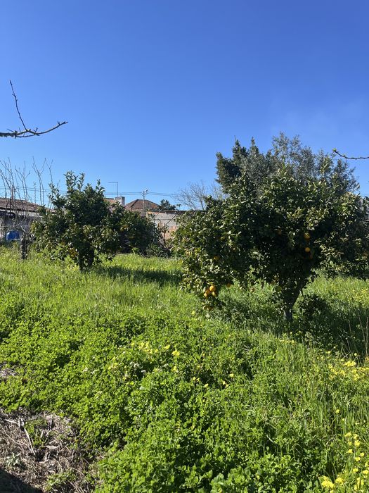 Moradia T5 com terreno