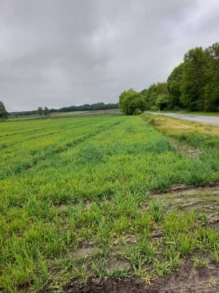 Gotowa działka z potencjałem! Idealna pod Twój wymarzony dom. - Widok 3