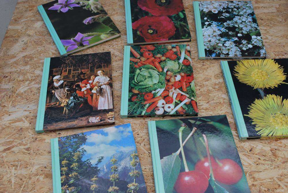 Enciclopédia - As Plantas Nossas Amigas