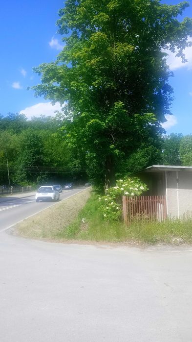 Sprzedam działkę inwestycyjną z biurowcem i magazynami