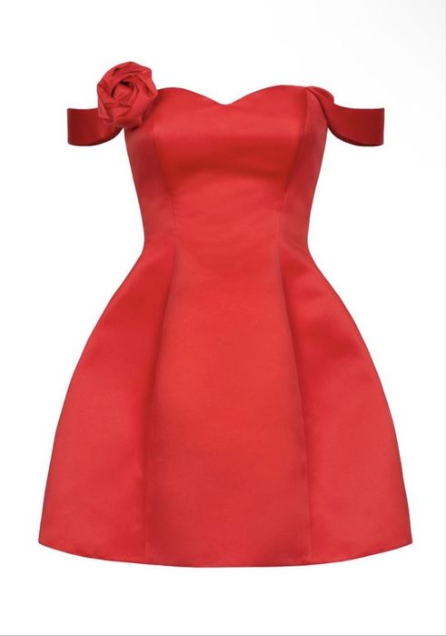 Сукня twnspan albon annabraim zara swanlaboutique