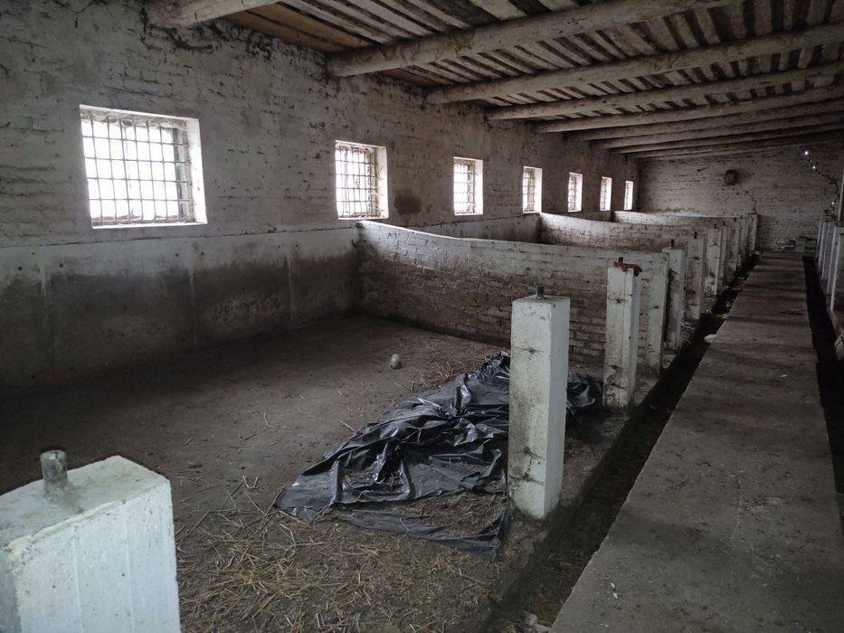 Ферма. Приміщення свинарника, під різні цілі. м. Калуш, Залісся  7а.