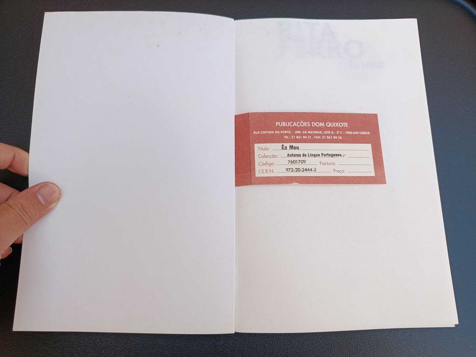 Livro "És Meu", Rita Ferro