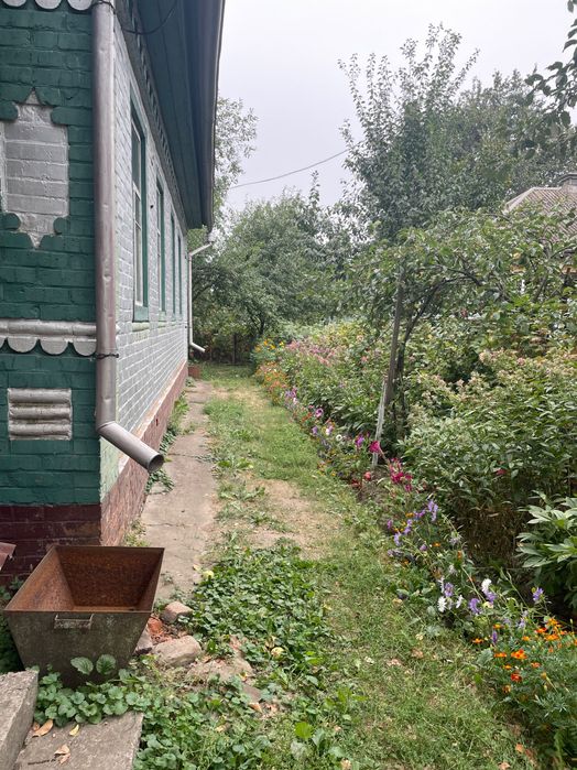 Продається будинок з ділянкою і господарськими будівлями