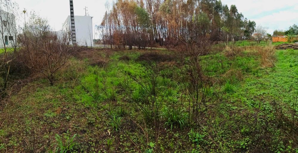 Terreno Rústico 600m2 na Branca