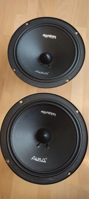 Естрадні динаміки Aura Storm-8 (20 см)