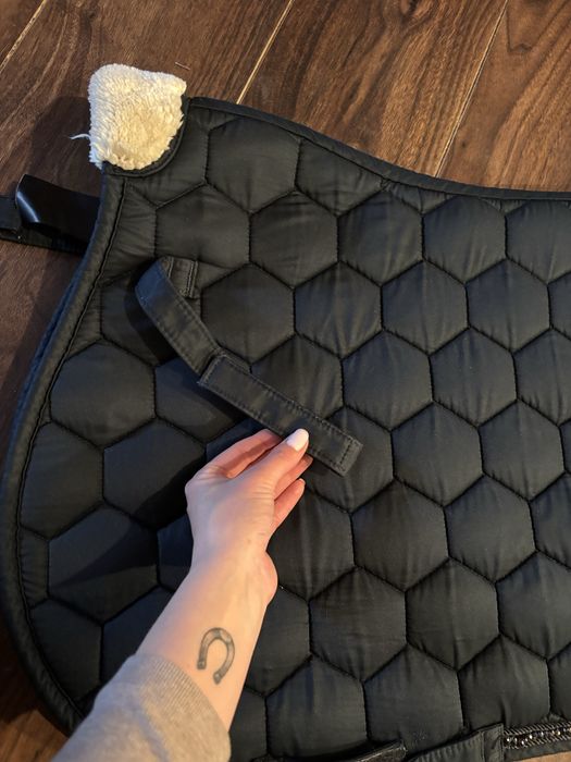 Czaprak granatowy vs