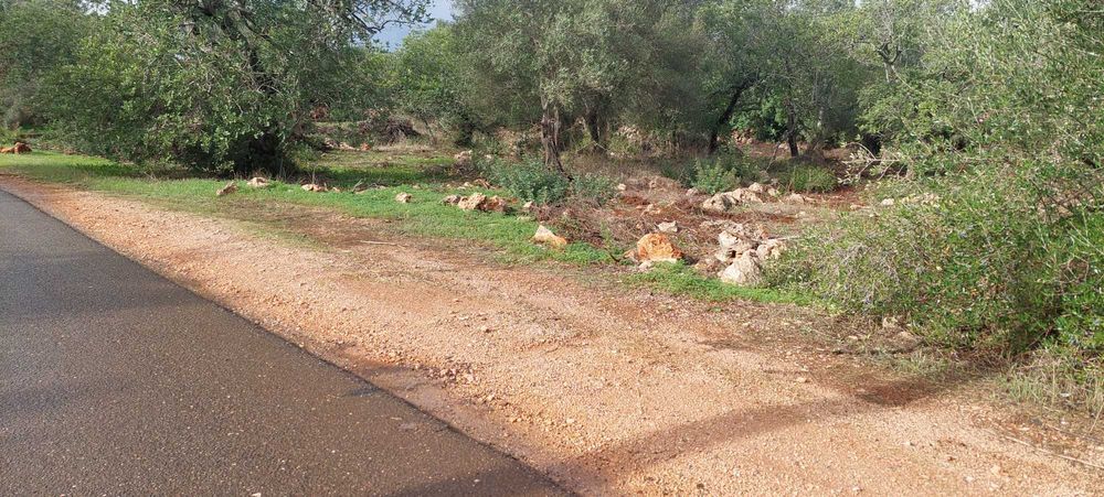 Terreno a 1km de Paderne