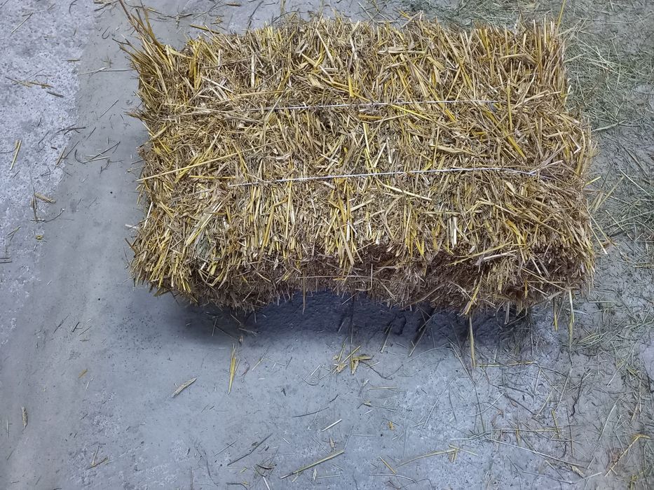 Siano słoma kostka sciółka dla koni królików kur