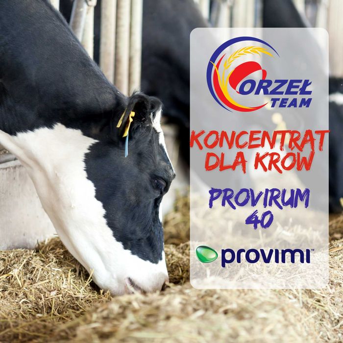 Koncentrat dla krów mlecznych ProviRum 40, luz, worki, big bag
