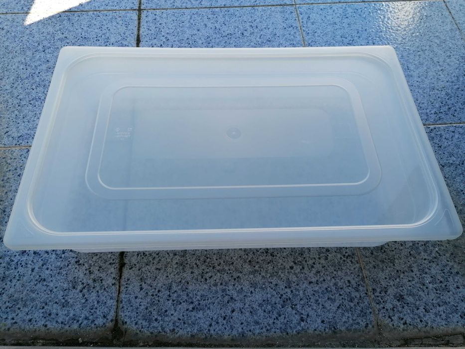 Caixa plástico de alimentos