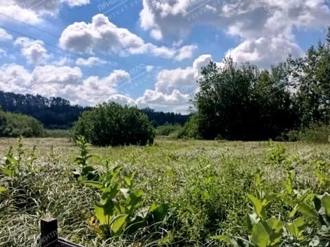Земельна ділянка в Щербанях