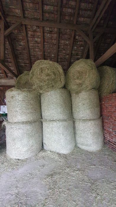 ŚWIEŻE SIANO tegoroczne