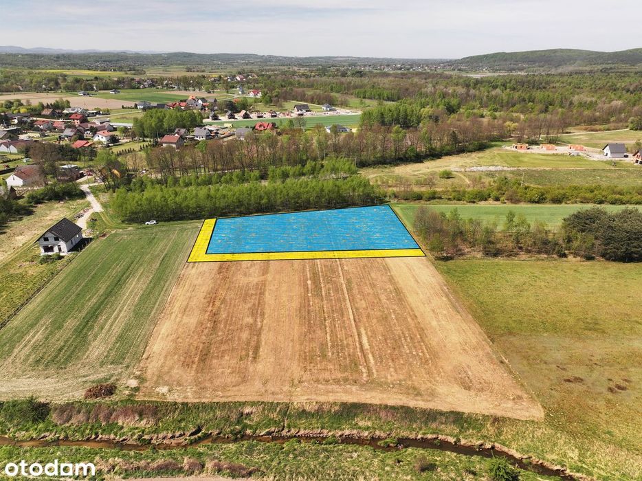 Działka inwestycyjna, Przeginia Narodowa / Czernichów