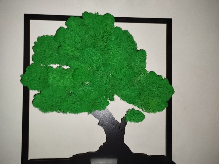 Obraz Chrobotek  40 cm Urodziny Prezent Dzień Mamy Dzień Taty