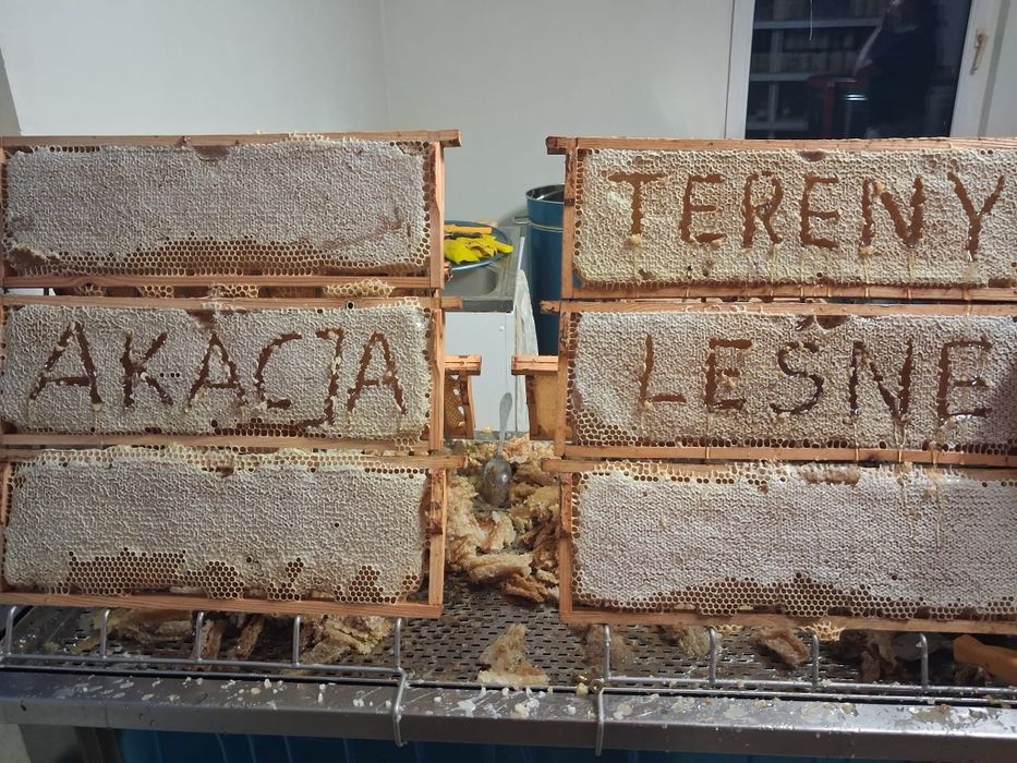 Miód pszczeli z własnej pasieki.
