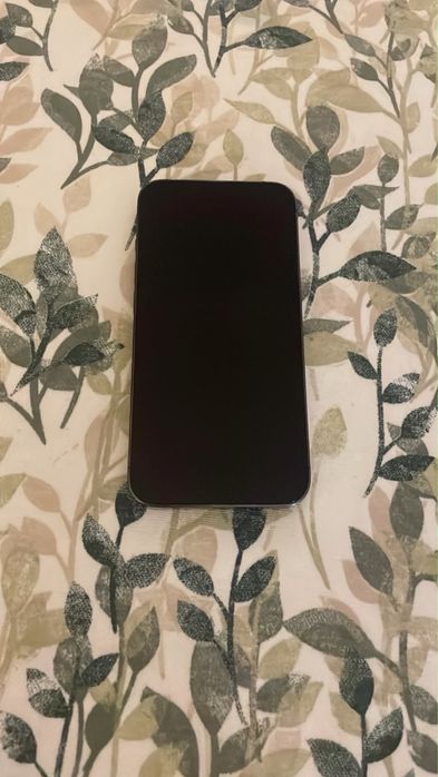 Iphone 13 pro.