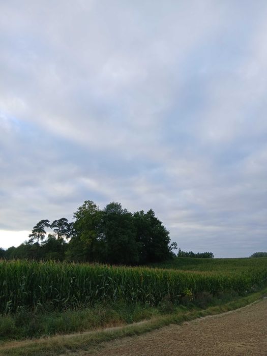 Działka rolna Grunt rolny