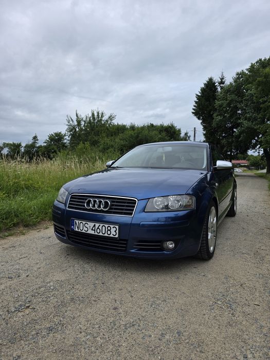 Audi A3 8P 1.9TDI 105Km