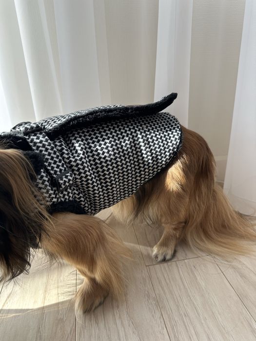 Одяг для собаки