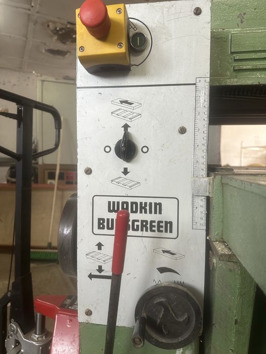 Grubosciówka Wadkin