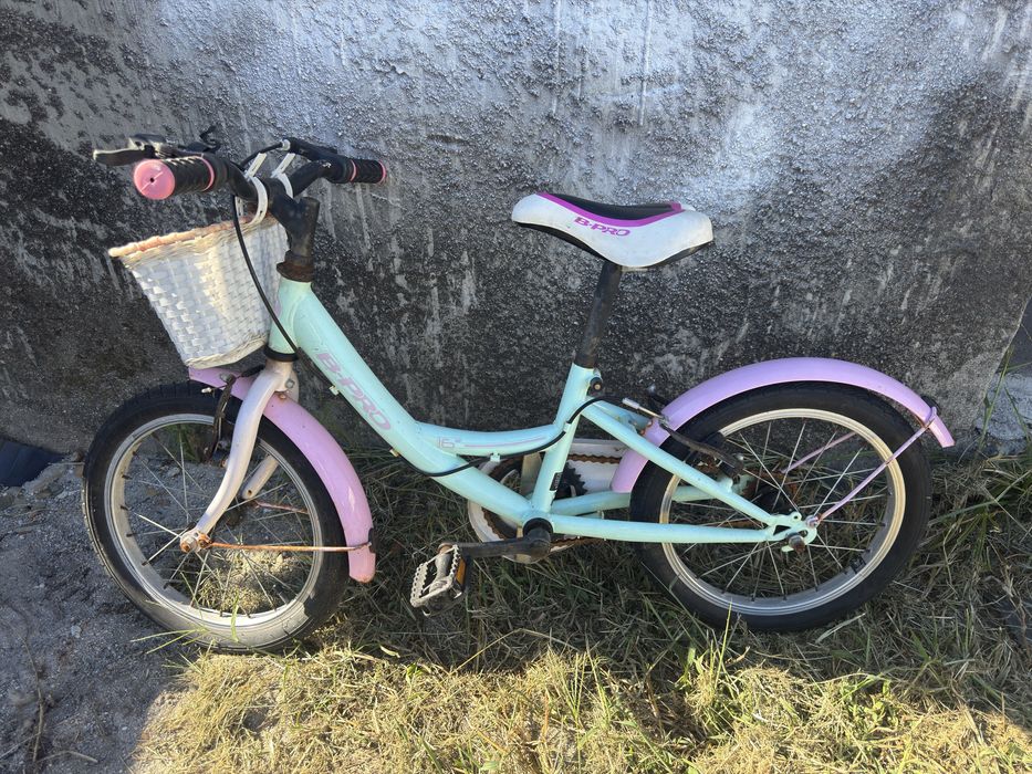 Bicicleta de crianca