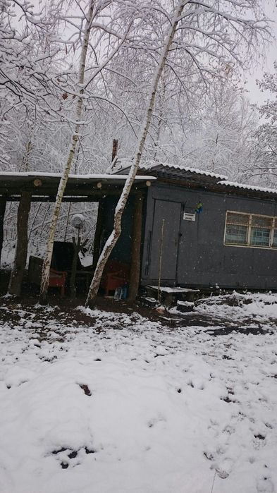 Пасіка в лісі, Бджолопавільйони, вулики, бджоли, вагончик