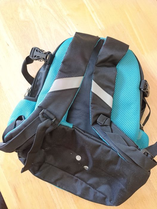 Plecak szkolny Animals