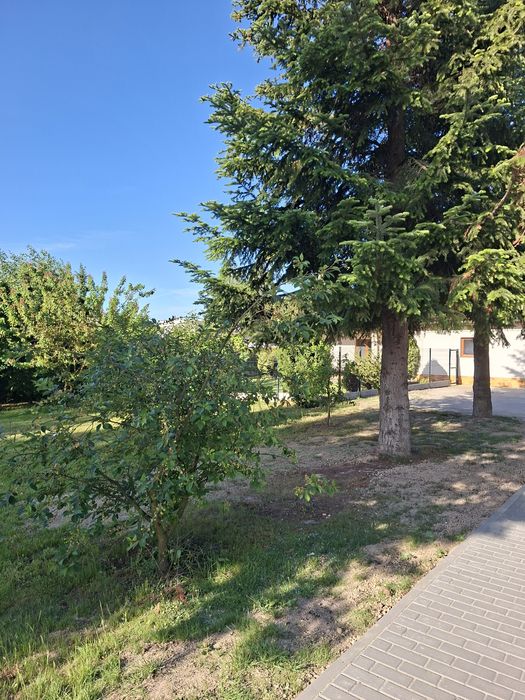 Działka budowlana. Sławin (Skowronkowa) 1150 m² - Widok 2