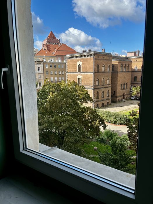 Zdjęcie 6