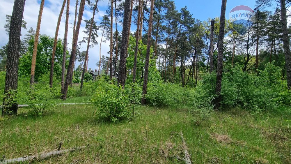 2 га | Лютіж | Асфальт | 100 кВт| Вишгородський район | під забудову