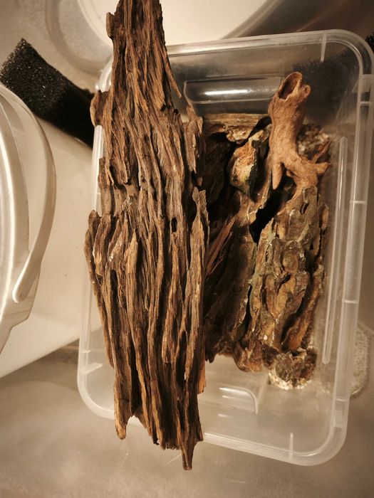 Akwarium 50L, 60x30x30, rybki, filtr kaskadowy, lampy, karmnik ozdoby