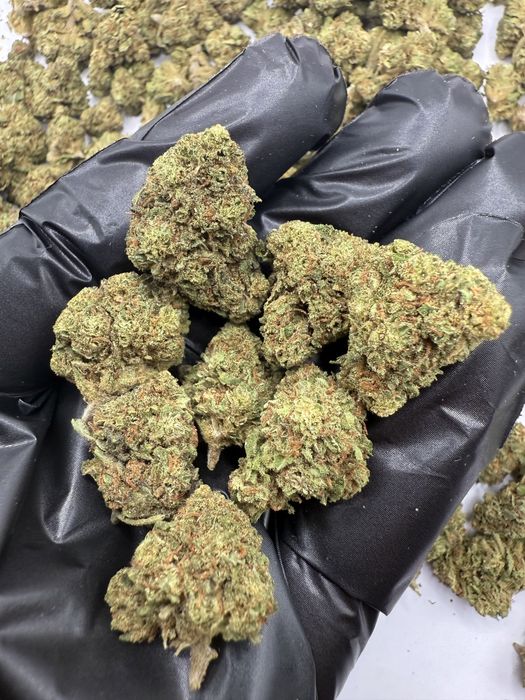 1kg susz CBD Grape Berry /THC<0.3%