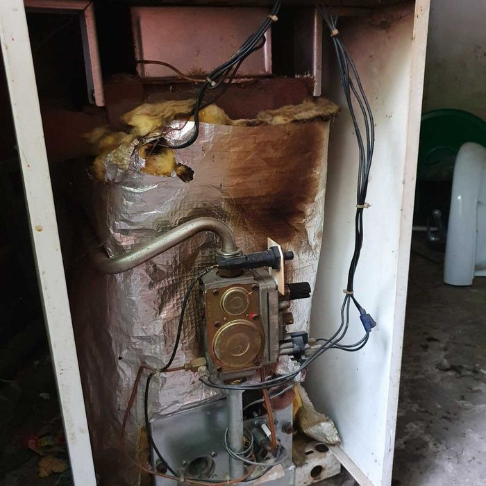 Одноконтурний газовий котел підлоговий Protherm Ведмідь TLO на 19 кВт