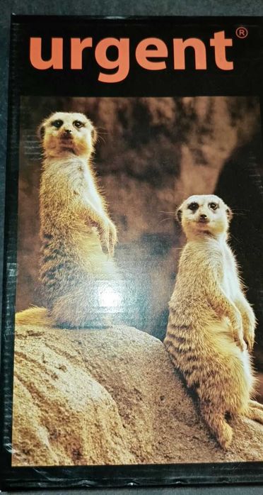 Nowe buty męskie do pracy