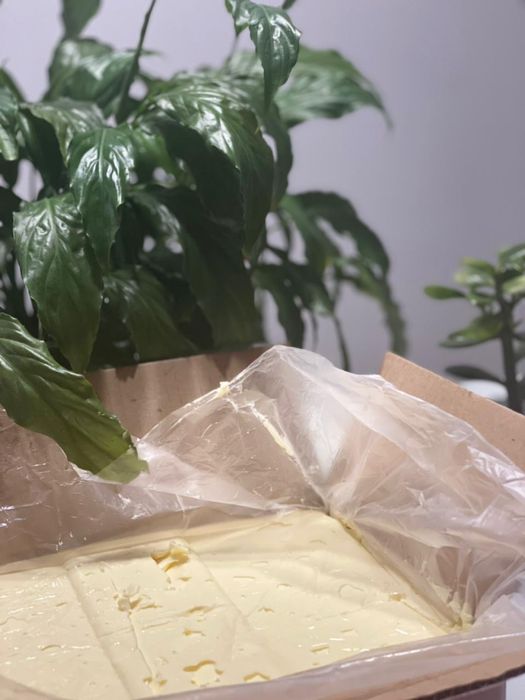 Масло вершкове 82,5% 5кг