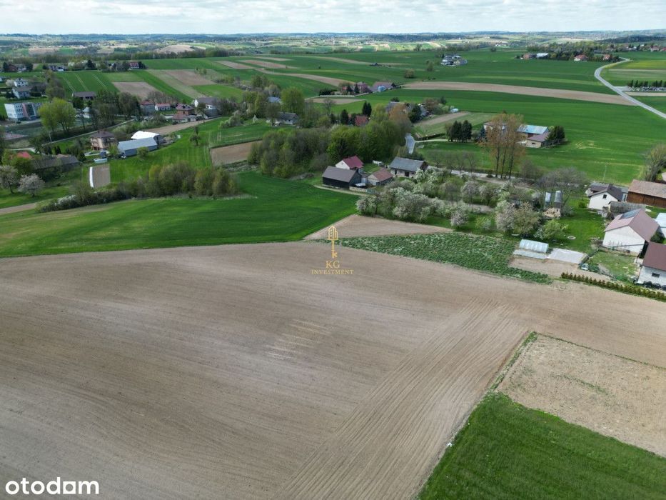 10 arów / Celiny / Cicha widokowa okolica