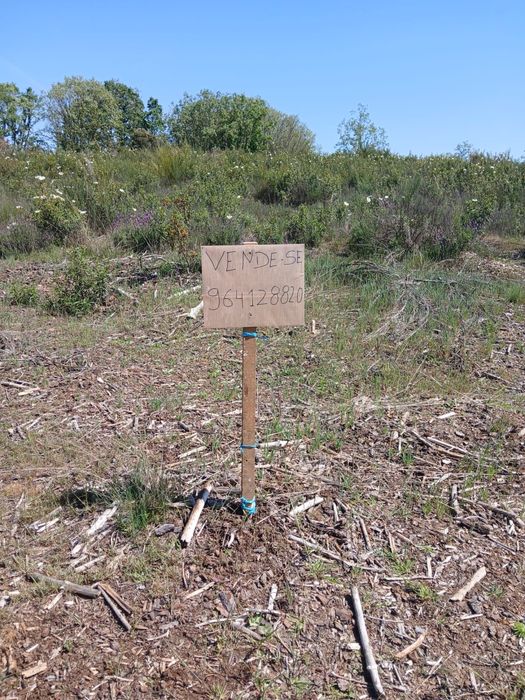 Terreno Agrícola - 3 ha (Avelanoso)
