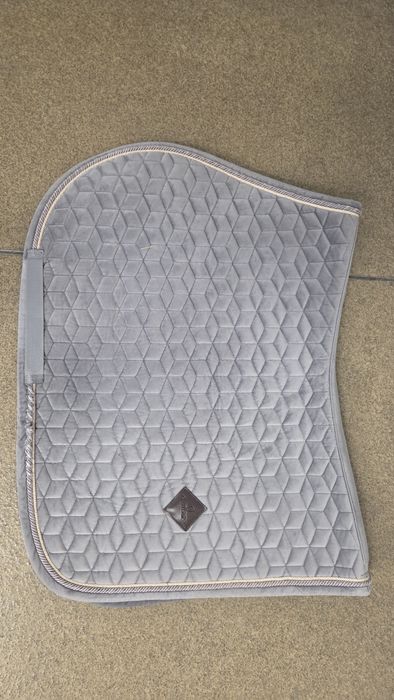 Sprzedam czaprak Kentucky