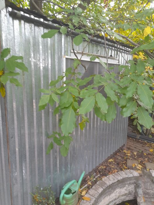 Продаю домик разборный.