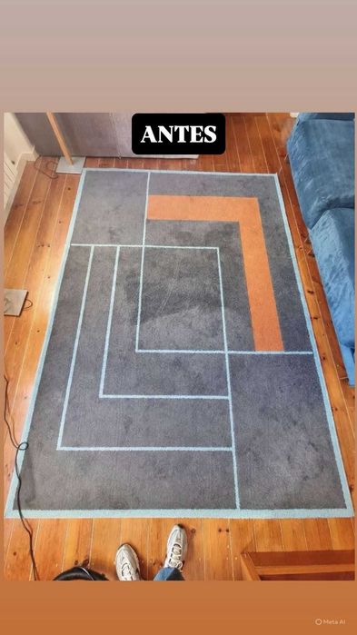 Limpeza Profissional de Tapetes | Higienização Profunda