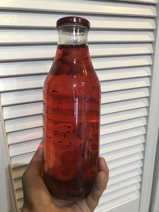 Kombucha artesanal Daterrapraboca ou scoby
